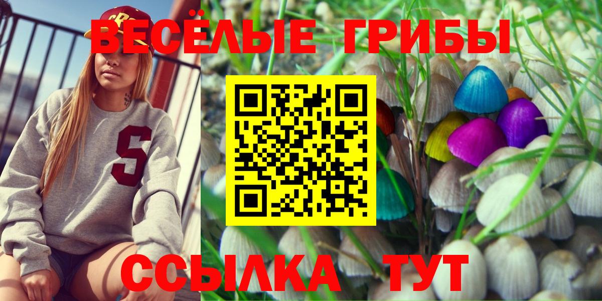 Галлюциногенные грибы Magic Shrooms Курчалой