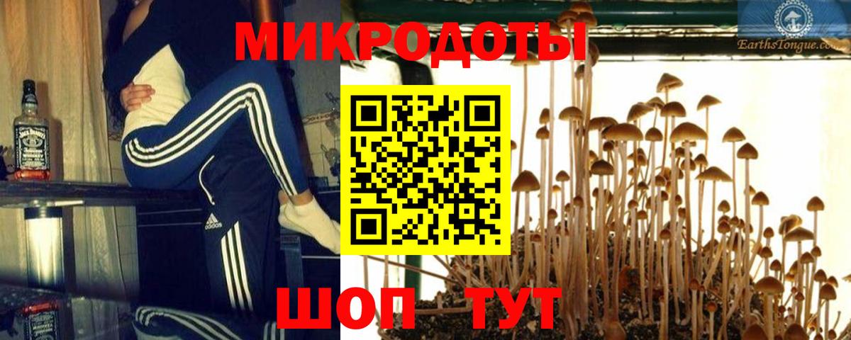 Галлюциногенные грибы прущие грибы  Вход с VPN  Курчалой 